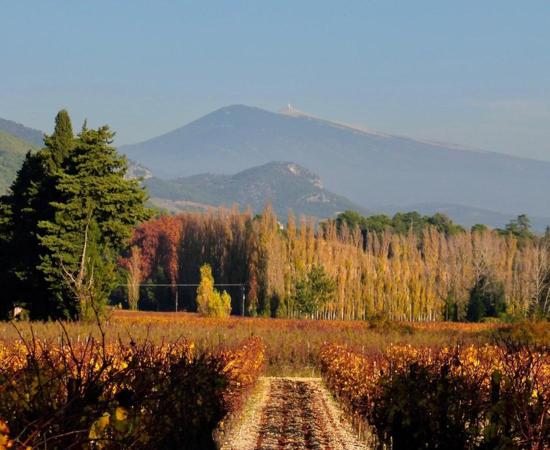Desir De Provence Bed & Breakfast ซาริย็องส์ ภายนอก รูปภาพ